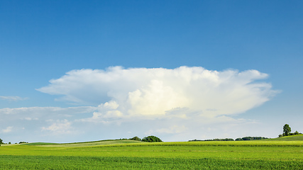 Image showing big anvil cloud on a hot summer day