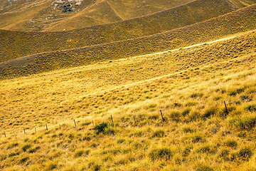 Image showing beautiful light on grass hills in south Australia