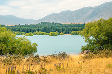 Image showing Lake Tekapo in New Zealand