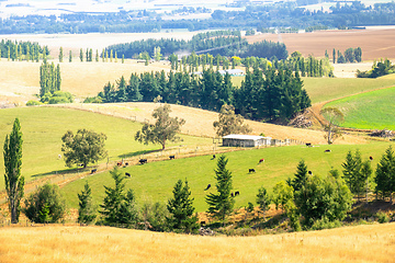 Image showing landscape scenery at south island New Zealand