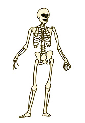 Image showing skeleton doodle clipart