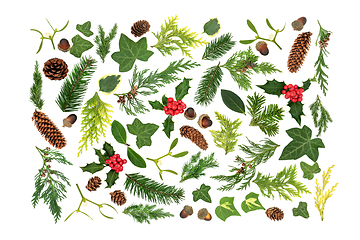 Image showing Traditional English Winter Greenery and Flora