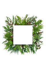 Image showing Cedar Cypress Leaf Abstract Background Border