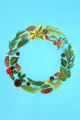 Image showing Natural Winter Solstice and Christmas Wreath  