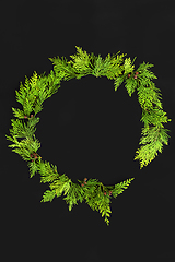 Image showing Evergreen Abstract Cedar Leaf Wreath 