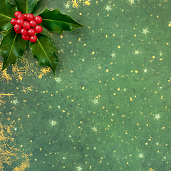 Image showing Holly Berry Festive Background for the Winter Solstice          