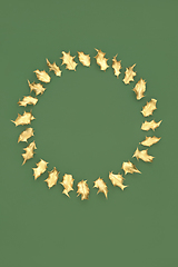 Image showing Christmas Wreath of Gold Holly Leaves