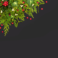 Image showing Natural Winter Holly and Flora Background