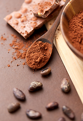 Image showing chocolate with hazelnuts, cocoa beans and powder
