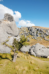 Image showing Castle Hill New Zealand