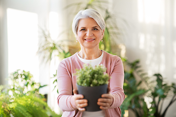 Image showing happy senior woman with flower in pot at home