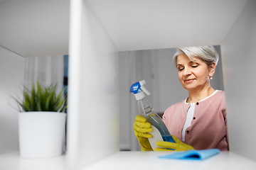 Image showing senior woman cleaning rack with detergent at home