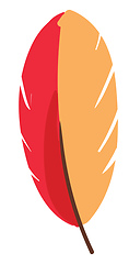 Image showing Red and yellow feather vector or color illustration