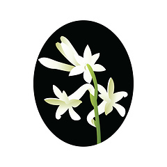 Image showing Vector illustration of white tuberose flower in blsck circle on 