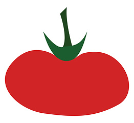 Image showing A fleshy tomato vector or color illustration