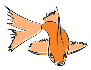 Image showing Drawing of an orange fish vector or color illustration