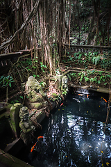 Image showing Ganesh statue near a pond in the Monkey Forest, Ubud, Bali, Indo