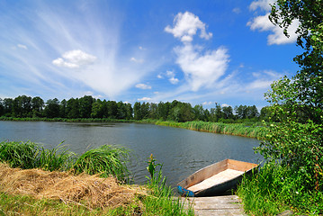 Image showing Summer Landscape