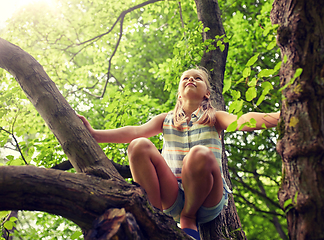 Image showing happy girl climbing up tree in summer park