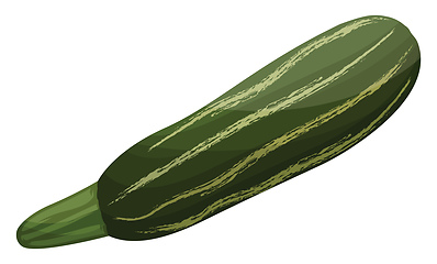 Image showing Dark and light green cartoon courgettes vector illustration of v