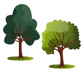 Image showing Couple of green trees vector illustration on white background