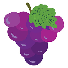 Image showing Purple-green grape clipart vector or color illustration