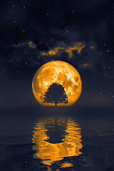 Image showing orange moon and a tree