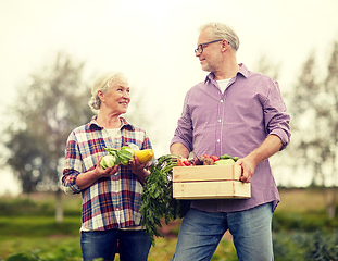 Image showing senior couple with box of vegetables on farm