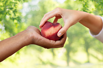 Image showing multiracial couple hands with peach over green