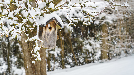 Image showing bird house in winter snow
