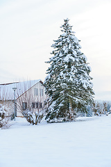 Image showing cold winter snow scenery 