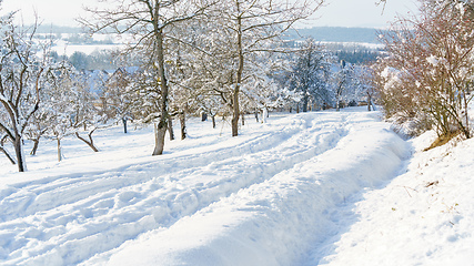 Image showing cold winter snow scenery 