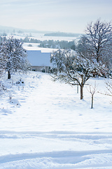 Image showing cold winter snow scenery 