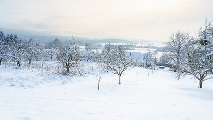 Image showing cold winter snow scenery 