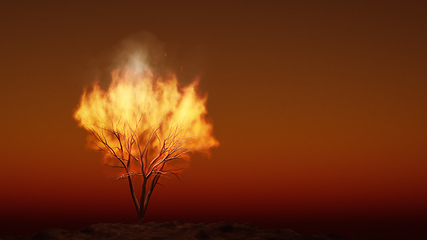 Image showing the burning bush religious symbol with space for your content