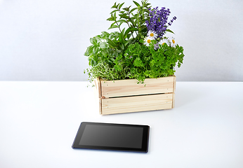 Image showing tablet computer with herbs and flowers in box