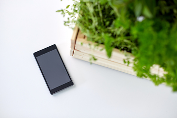 Image showing smartphone with herbs and flowers in box