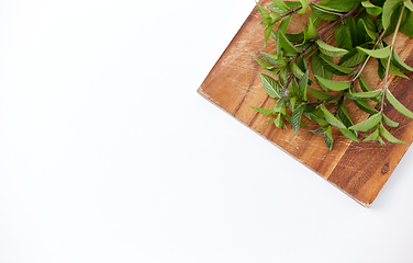 Image showing bunch of fresh peppermint on wooden cutting board