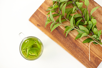 Image showing herbal tea with fresh peppermint on wooden board