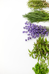 Image showing greens, spices or medicinal herbs on white