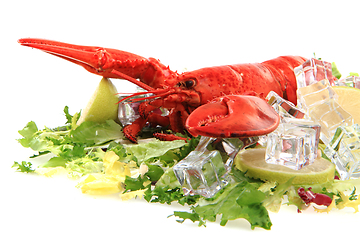 Image showing orange lobster isolated