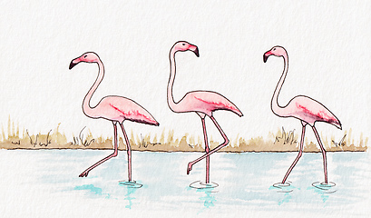 Image showing flamingos watercolor illustration