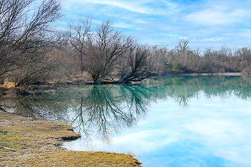 Image showing trees reflections at the lake at a sunny day