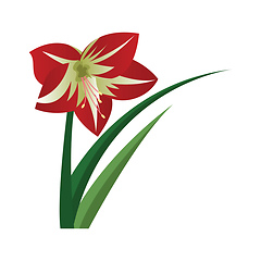 Image showing Vector illustration of amaryllis flower on white background.