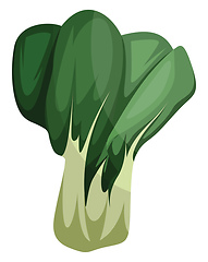 Image showing Asian greens vector illustration of vegetables on white backgrou