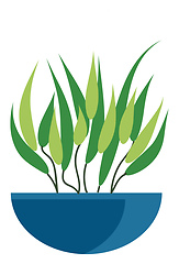 Image showing A blue pot made from earthenware has a plant growing in it vecto