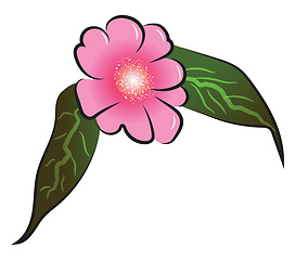 Image showing Pink flower with leafs vector or color illustration