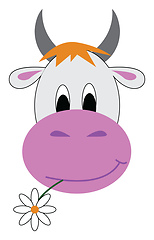 Image showing Jersey cow with a flower in its mouth looks cute vector or color