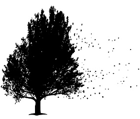 Image showing black tree with flying leafs, symbol for sorrow