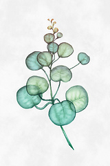 Image showing watercolor green leaf